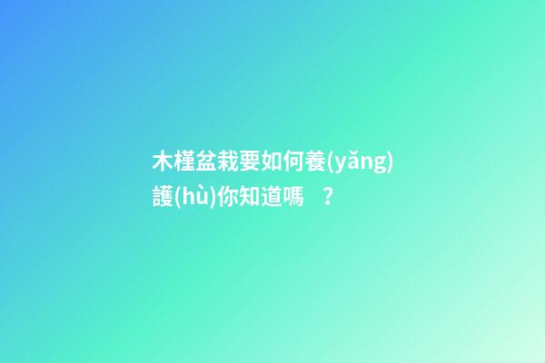 木槿盆栽要如何養(yǎng)護(hù)你知道嗎？